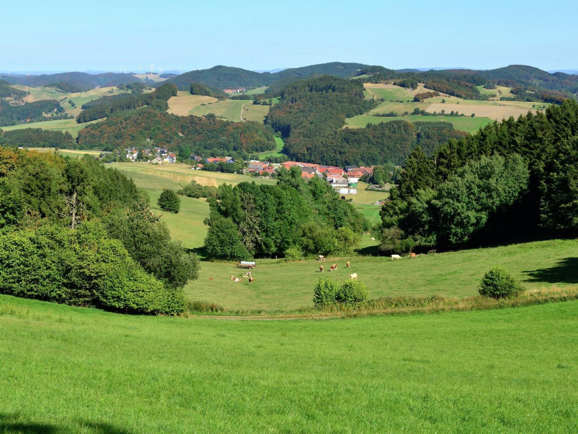 Quaint Apartment In Eimelrod Near Lake And Water Sports Willingen  Exterior foto